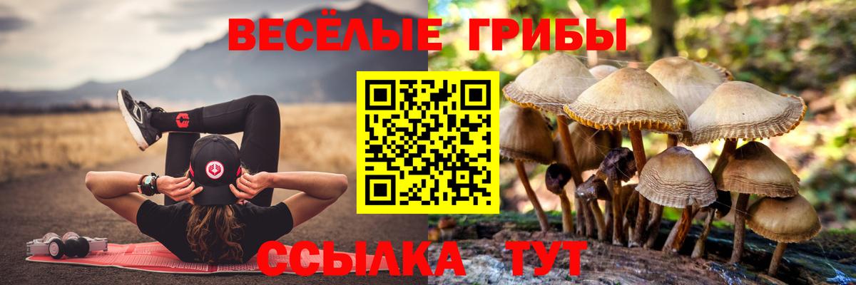 Галлюциногенные грибы мицелий  Вход с VPN  Псилоцибиновые грибы Magic Shrooms  Волгоград 
